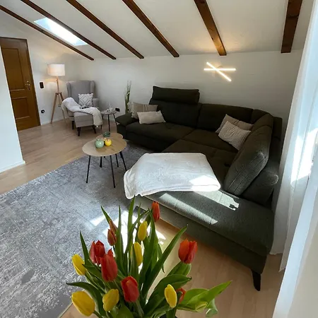 公寓 Ferienwohnung 巴特莱辛哈尔