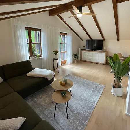 公寓 Ferienwohnung 巴特莱辛哈尔